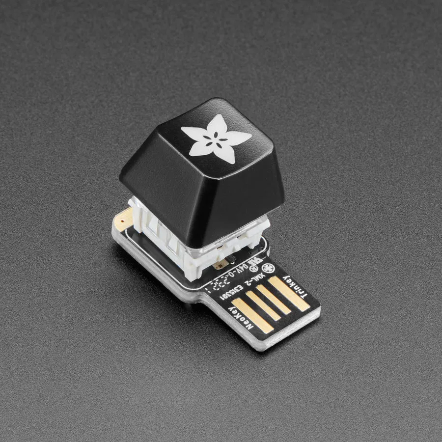 Adafruit Etched R4 Keycap for MX Compatible Switches