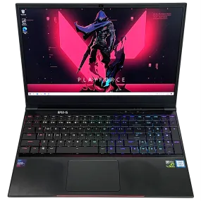 Aftershock Apex 15 (i7-8750H, GTX 1060, 16GB, 1TB 256GB SSD, 15-inch)