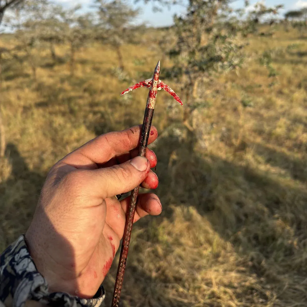 Beast Broadheads Archery - 2 pack   Practice Tip