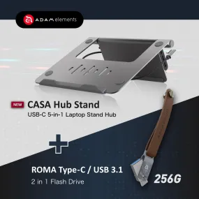 CASA Hub Stand USB-C 5-in-1 Laptop Stand Hub   Roma 256GB USB Type-C / USB 3.1 2 in 1 Flash Drive (Gray)