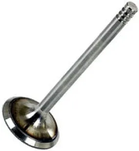 Intake Valves Diesel